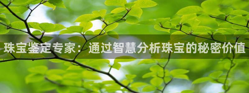 众腾娱乐蚀 7O935：珠宝鉴定专家：通过智慧分析珠宝的秘密