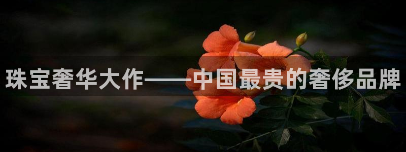 腾众竞技娱乐：珠宝奢华大作——中国最贵的奢侈品牌