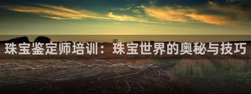 众腾娱乐公司简介