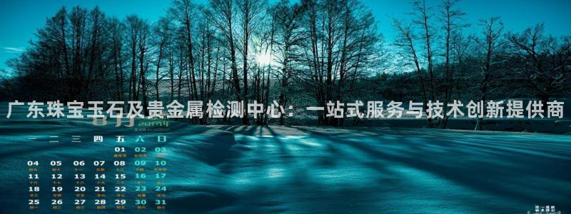 腾众娱乐彩票：广东珠宝玉石及贵金属检测中心：一站式服务与技术