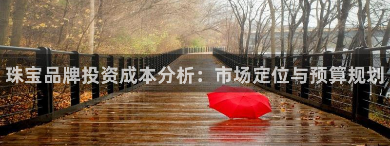 众腾娱乐扣款是正规的吗：珠宝品牌投资成本分析：市场定位与预算