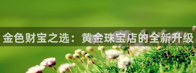 众腾娱乐招商：金色财宝之选：黄金珠宝店的全新升级