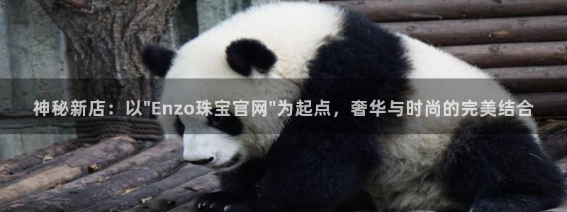 腾讯旗下的腾众娱乐