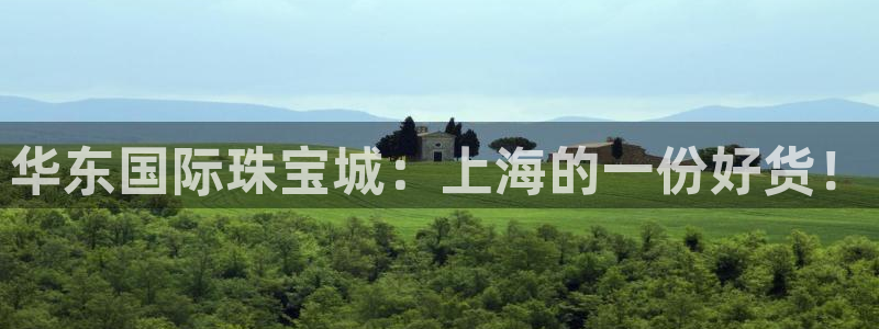 众腾娱乐平台官网入口：华东国际珠宝城：上海的一份好货！