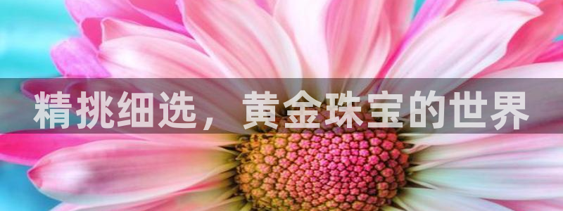 众腾娱乐app：精挑细选，黄金珠宝的世界