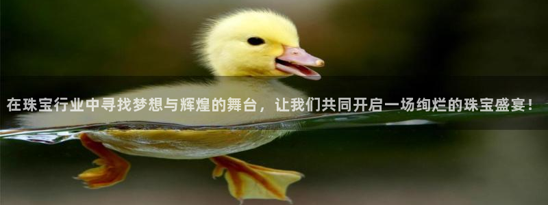 楚雄众腾娱乐在哪里