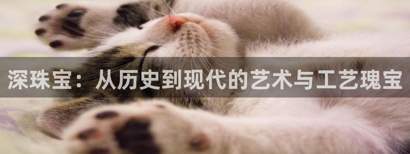 楚雄众腾娱乐在哪里