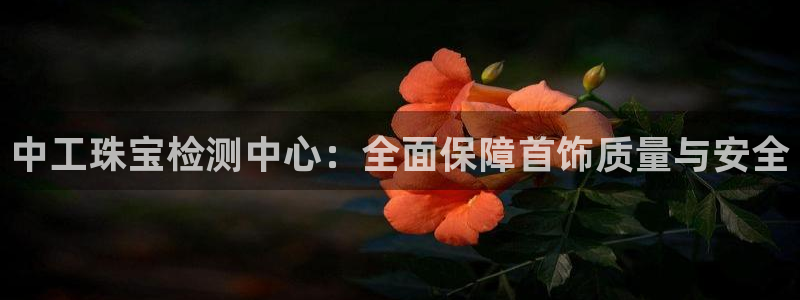 楚雄众腾娱乐是干什么的:中工珠宝检测中心:全面保障首饰质量与