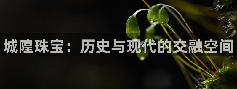 包头众腾娱乐：城隍珠宝：历史与现代的交融空间