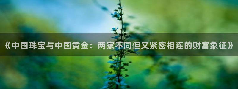 腾耀3娱乐众123：《中国珠宝与中国黄金：两家不同但又紧密相