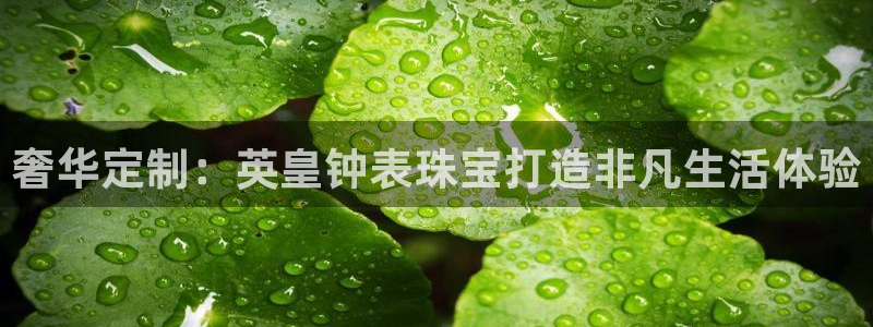 众腾娱乐开户