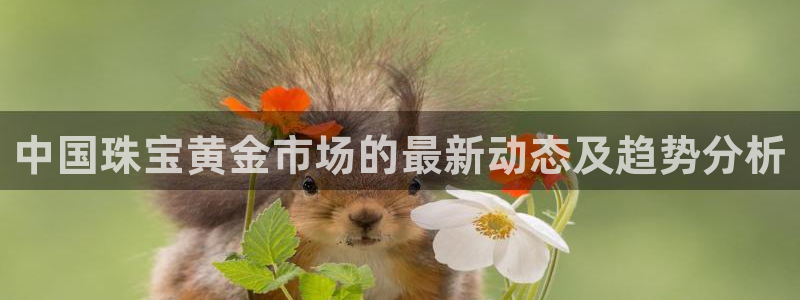 众腾娱乐登入探索无限空间：中国珠宝黄金市场的最新动态及趋势分
