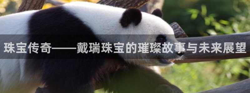 众腾娱乐平台群7O777：珠宝传奇——戴瑞珠宝的璀璨故事与未