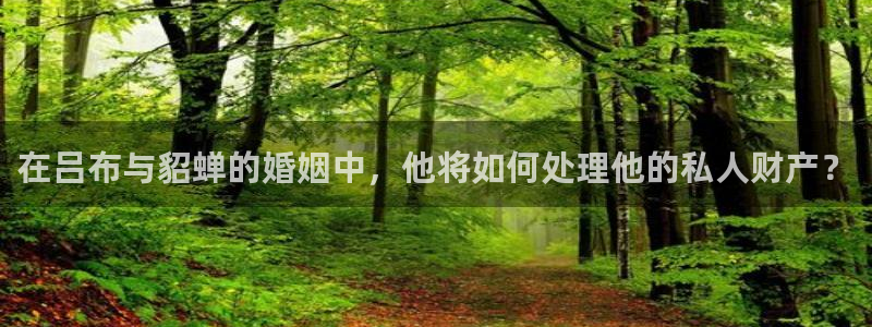 众腾娱乐平台：在吕布与貂蝉的婚姻中，他将如何处理他的私人财产